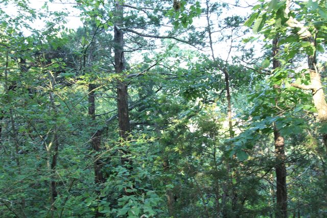 000 Iowa Colony Road, Hollister, MO 65672