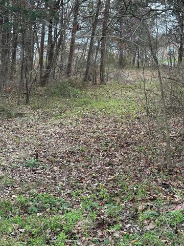 000 Iowa Colony Road, Hollister, MO 65672