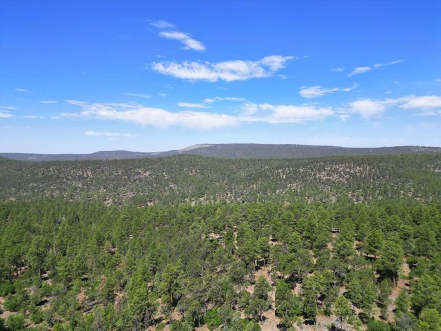 146 SKYLAND Boulevard, Tijeras, NM 87059