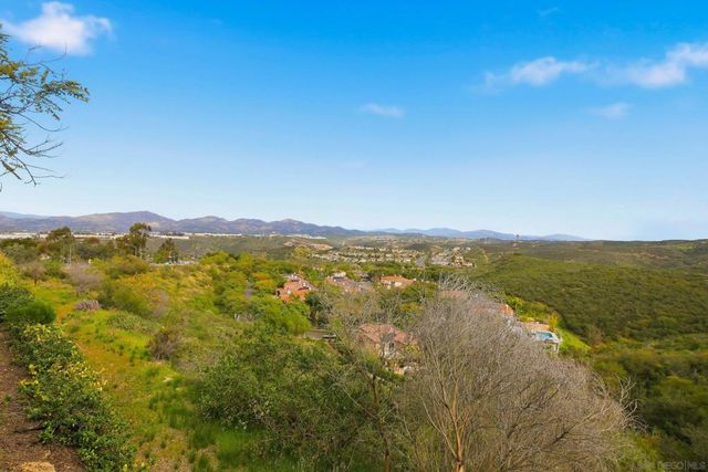 11369 Vista Elevada, San Diego, CA 92131