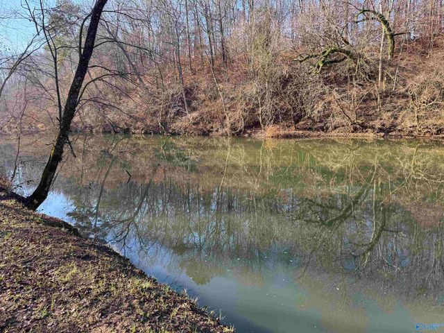 902 County Road 1042, Centre, AL 35960