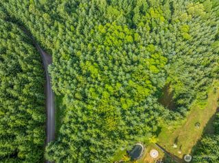 0 Lot 17 Grand Ridge Road, Toutle, WA 98649