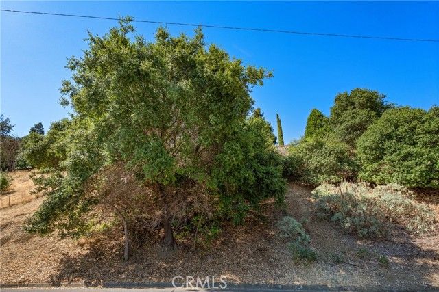 0 Rolph Park Drive, Other - See Remarks, CA 94525