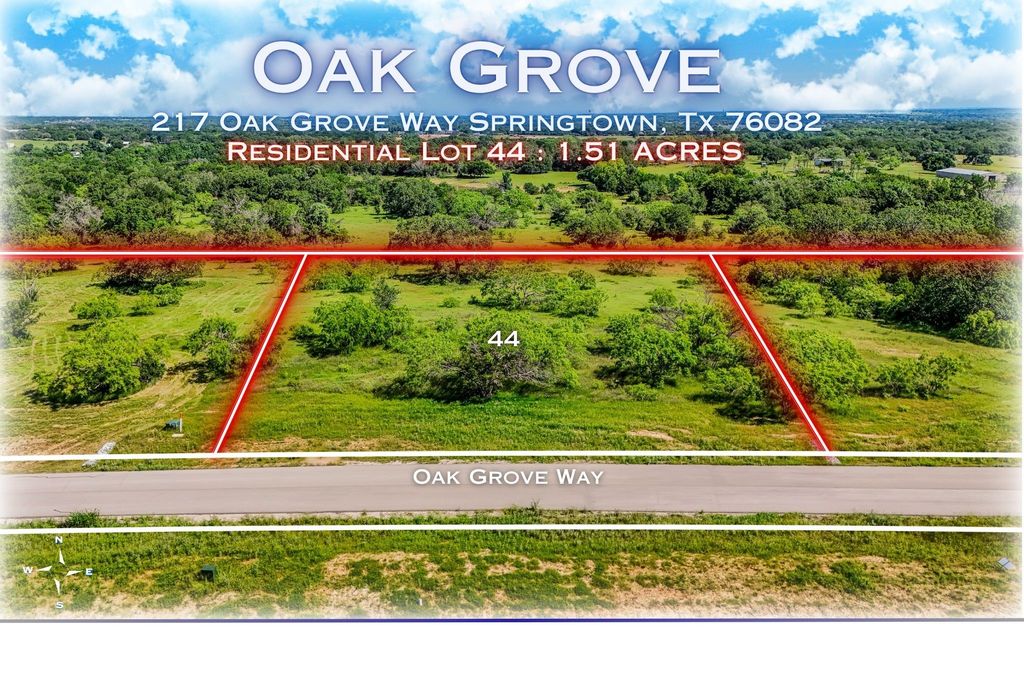 217 Oak Grove Way, No City, TX 76082 — photo 2