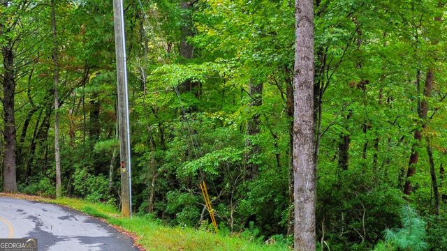 0 Grimes Nose 40, Sautee Nacoochee, GA 30571