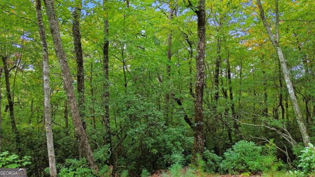 0 Grimes Nose 40, Sautee Nacoochee, GA 30571