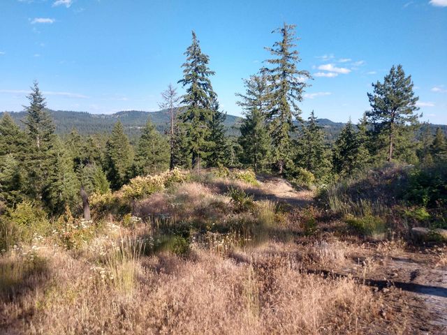 432 Quartz Rd, Newport, WA 99156