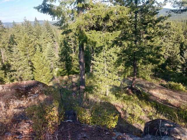 432 Quartz Rd, Newport, WA 99156