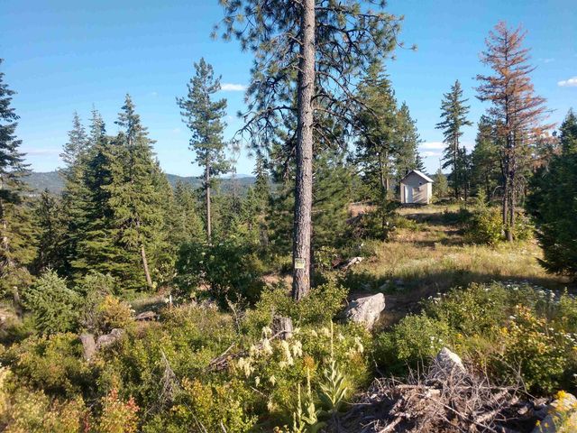 432 Quartz Rd, Newport, WA 99156