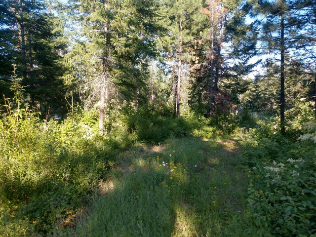 432 Quartz Rd, Newport, WA 99156