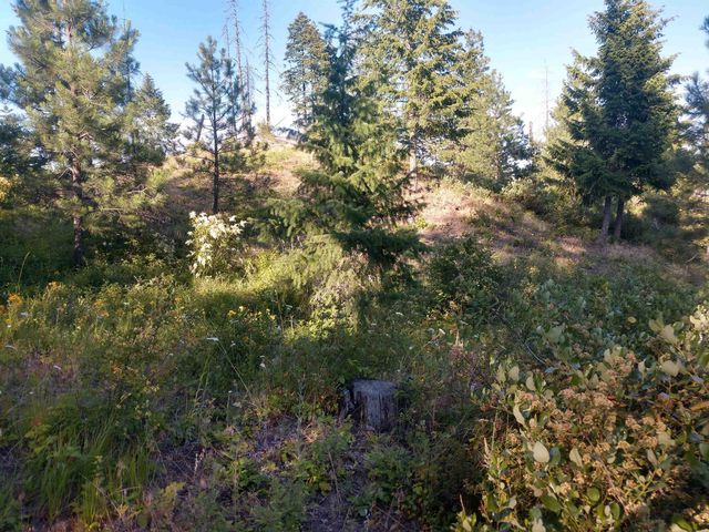 432 Quartz Rd, Newport, WA 99156