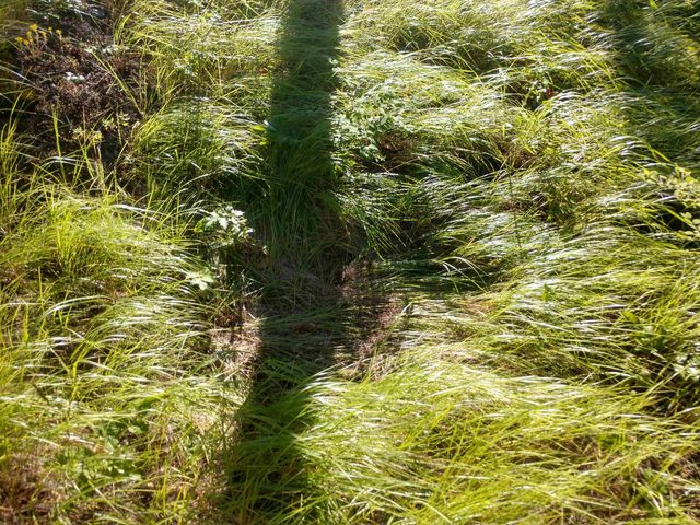 432 Quartz Rd, Newport, WA 99156