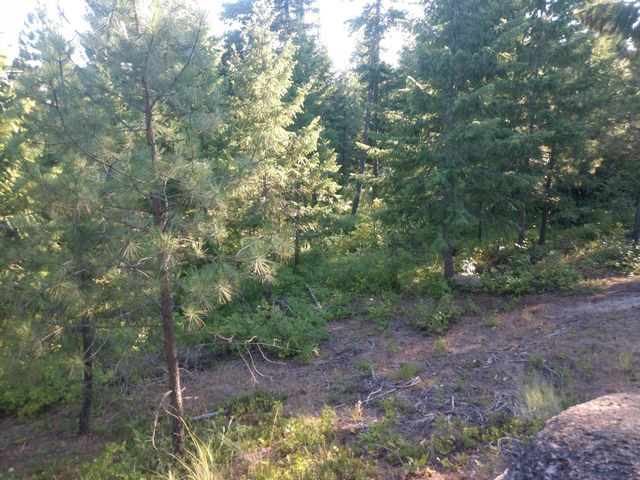 432 Quartz Rd, Newport, WA 99156