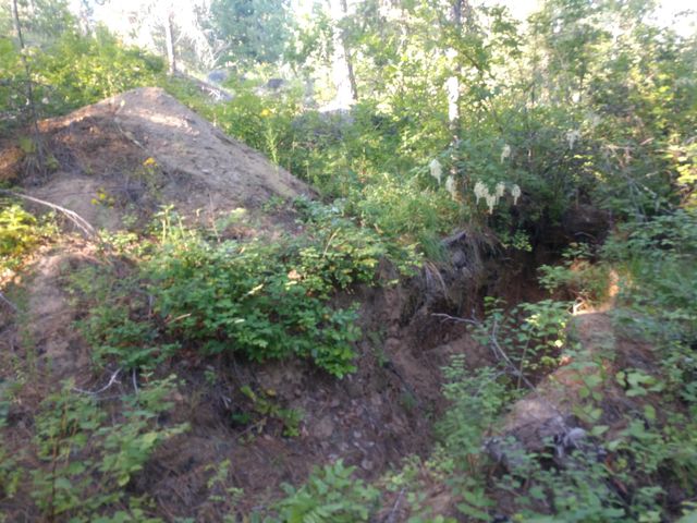 432 Quartz Rd, Newport, WA 99156