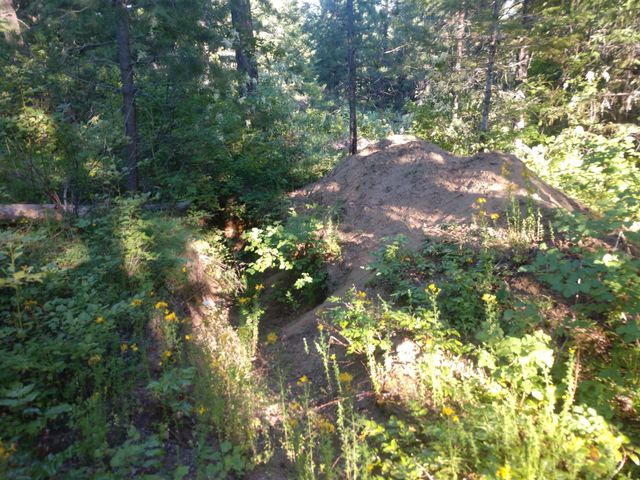 432 Quartz Rd, Newport, WA 99156