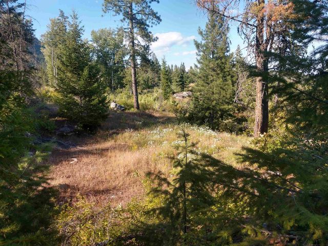 432 Quartz Rd, Newport, WA 99156