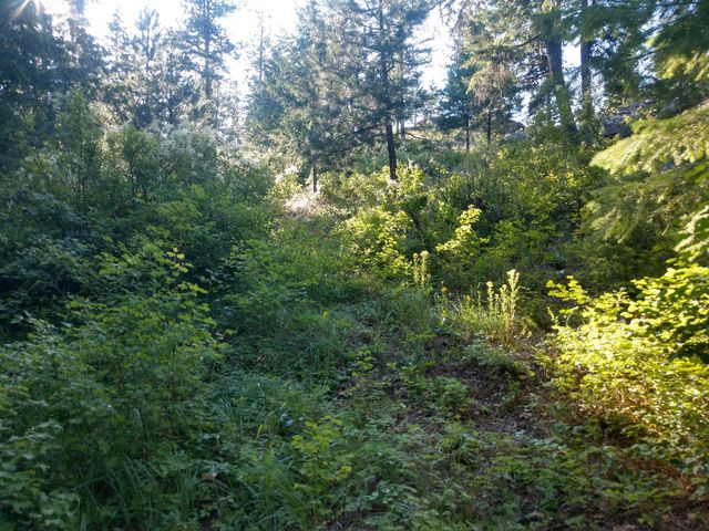 432 Quartz Rd, Newport, WA 99156