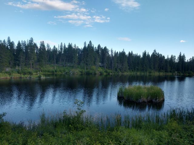 432 Quartz Rd, Newport, WA 99156