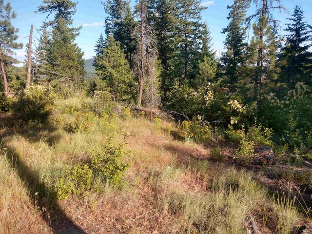 432 Quartz Rd, Newport, WA 99156