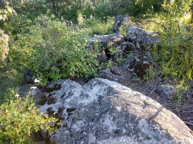 432 Quartz Rd, Newport, WA 99156