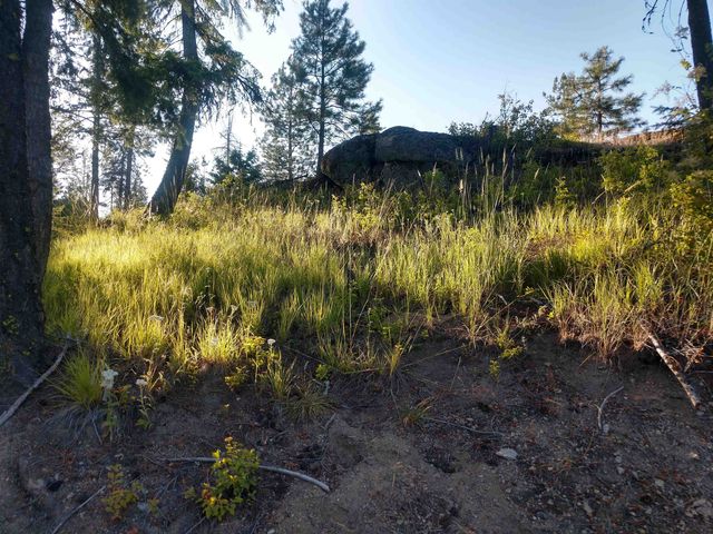 432 Quartz Rd, Newport, WA 99156