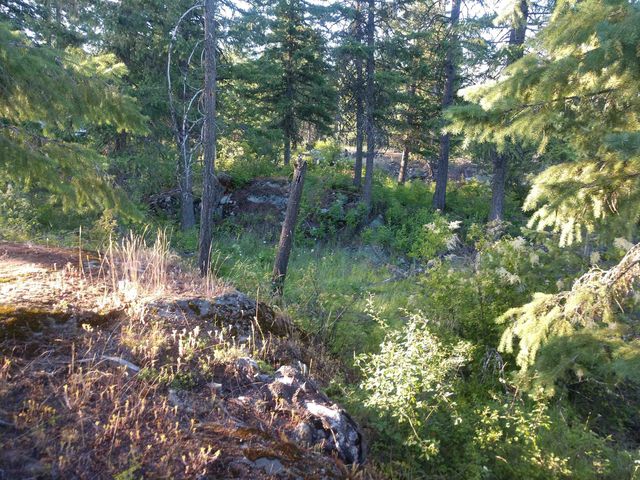 432 Quartz Rd, Newport, WA 99156