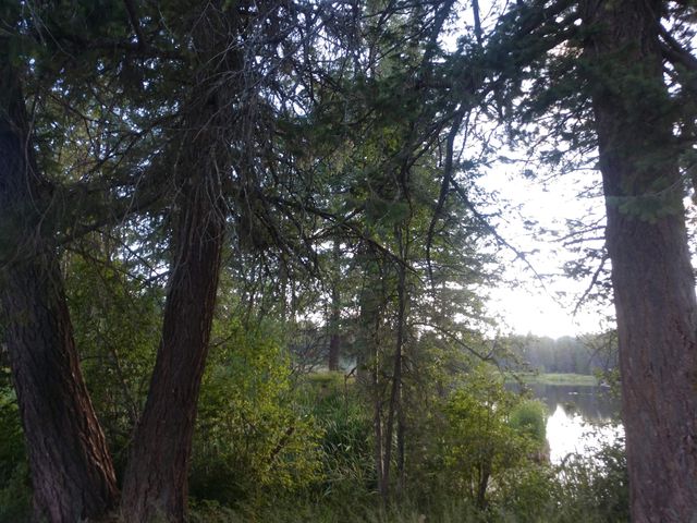 432 Quartz Rd, Newport, WA 99156