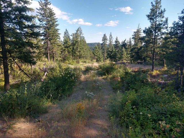 432 Quartz Rd, Newport, WA 99156