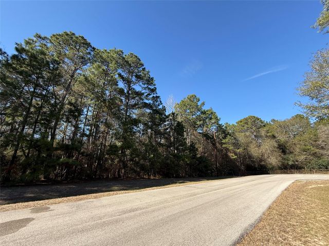 272303 Hitching Post Court, Magnolia, TX 77355