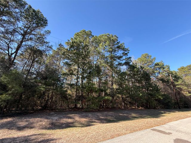 272303 Hitching Post Court, Magnolia, TX 77355