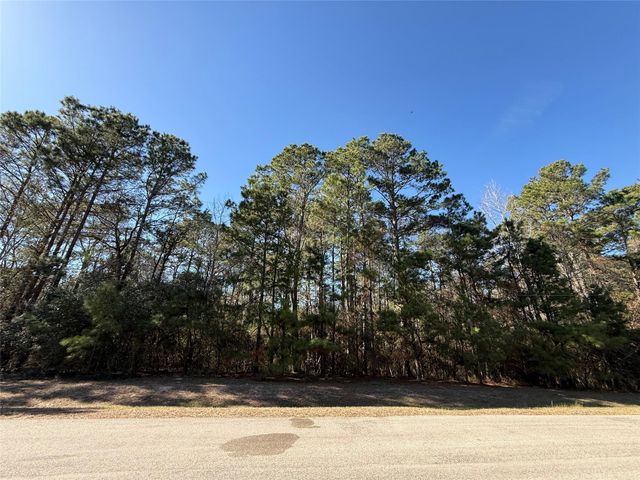 272303 Hitching Post Court, Magnolia, TX 77355