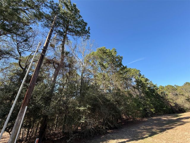 272303 Hitching Post Court, Magnolia, TX 77355