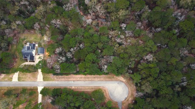 272303 Hitching Post Court, Magnolia, TX 77355