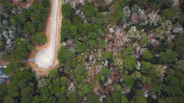 272303 Hitching Post Court, Magnolia, TX 77355