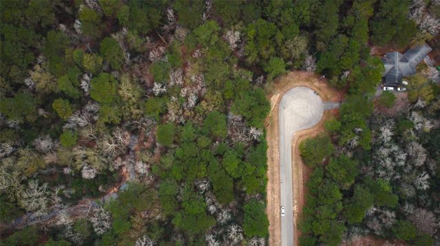 272303 Hitching Post Court, Magnolia, TX 77355