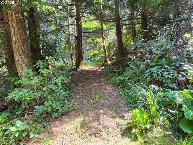 93490 FIR Rd, Port Orford, OR 97465