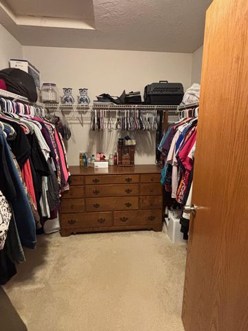 13820 Flay Avenue N, Hugo, MN 55038