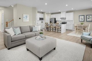 2294 Paddock Park, Pleasant View, TN 37146