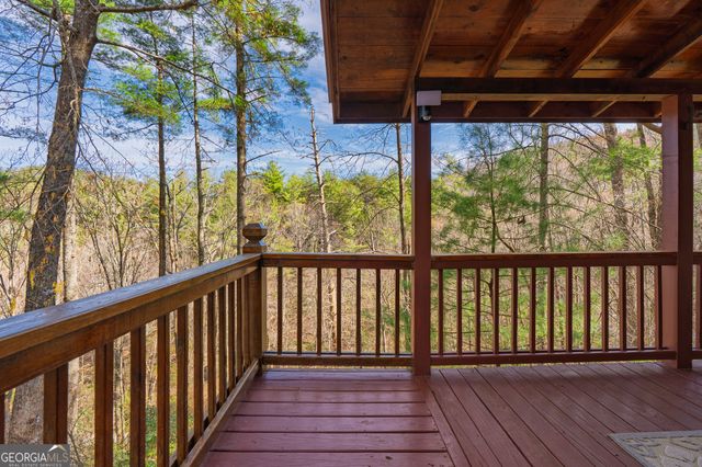 216 Pig Trail, Cherry Log, GA 30522