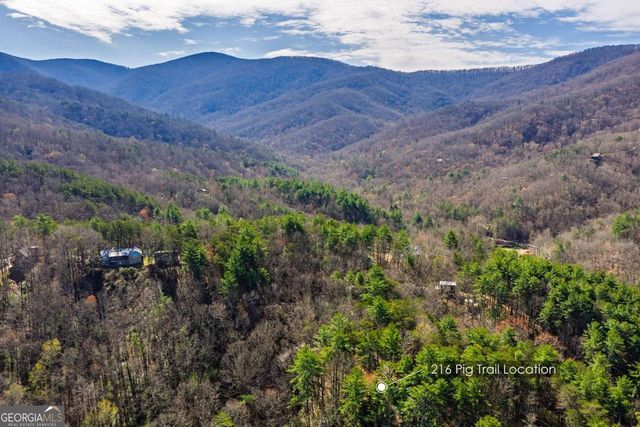 216 Pig Trail, Cherry Log, GA 30522