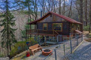 216 Pig Trail, Cherry Log, GA 30522