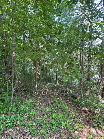 6900 Spinmaker Cove, Ooltewah, TN 37363