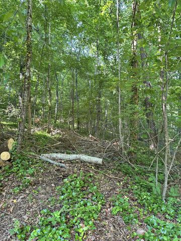 6900 Spinmaker Cove, Ooltewah, TN 37363