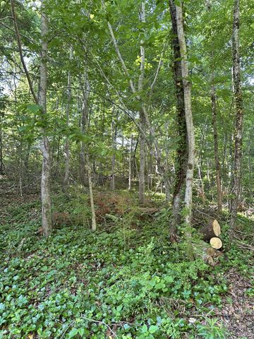 6900 Spinmaker Cove, Ooltewah, TN 37363