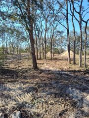 2667 W Patterson Court, Lecanto, FL 34461