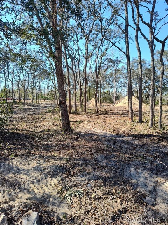 2667 W Patterson Court, Lecanto, FL 34461