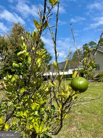 115 Spring Lake Circle, Brunswick, GA 31525