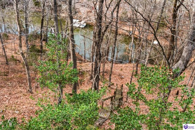 122 Pineland Lane, Brandenburg, KY 40108