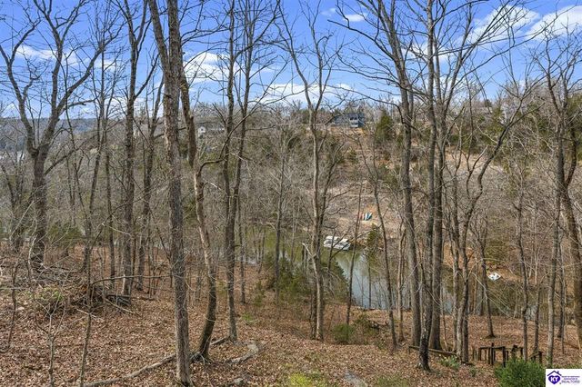 122 Pineland Lane, Brandenburg, KY 40108