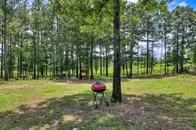 196 Brodie Hall Road, Wagener, SC 29164
